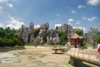 Stone Forest, The Wonder under the Heaven