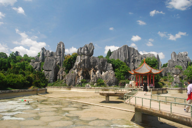 Stone Forest, The Wonder under the Heaven