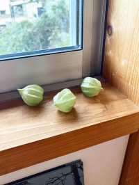 【福岡カフェ】パンを使ったランチの日が特に大人気なカフェ