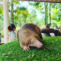 Wildlife Wonders: Bali Zoo Delights with Up-Close Encounters!