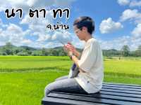 🪴 นา ตา ทา จ.น่าน 🪴