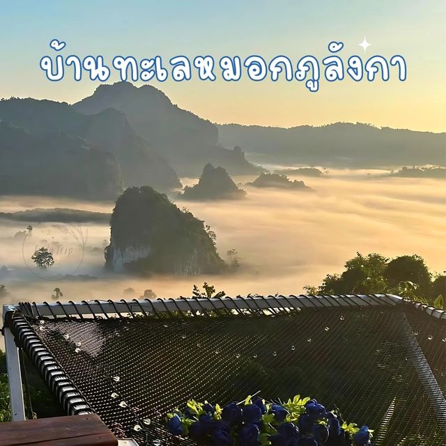 🏘 บ้านทะเลหมอกภูลังกา