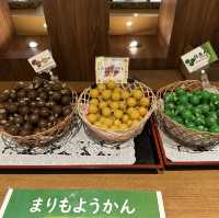 【北海道】極寒の宿泊！ニュー阿寒ホテル