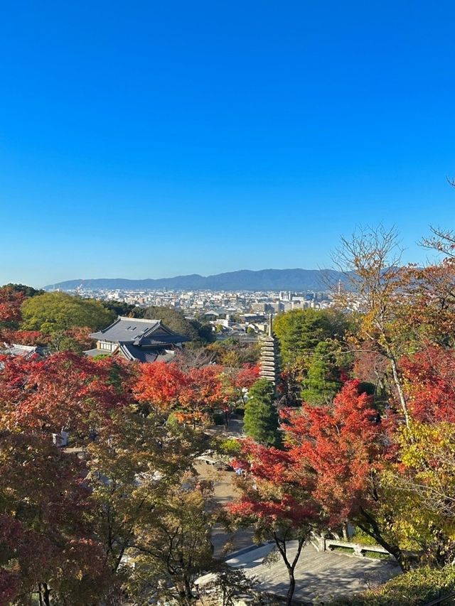 🇯🇵교토 기요미즈데라 청수사