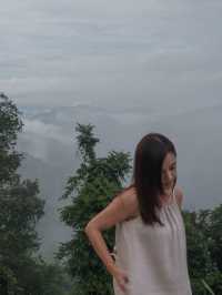 Misty Forest 🌳บ้านป่าหมอก ที่พักท่ามกลางสายหมอก 