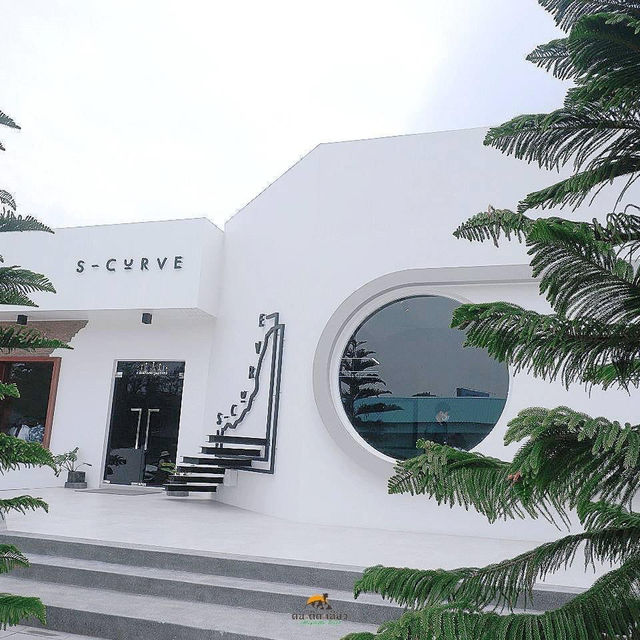 S-Curve Specialty Coffee