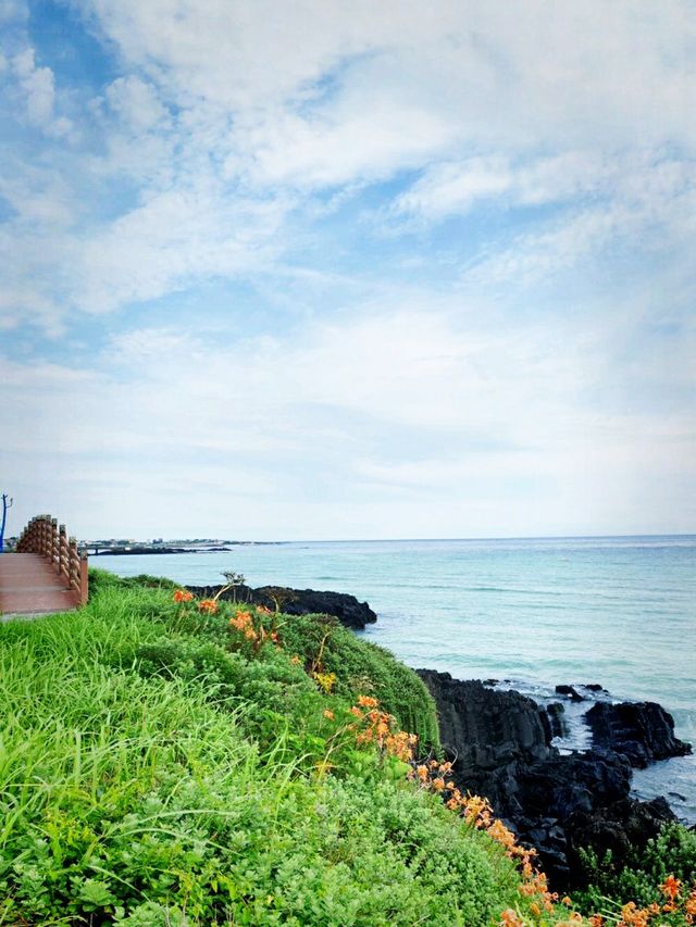 🏖에메랄드빛 해변과 ⛰초록빛 오름의 조화! 함덕해변