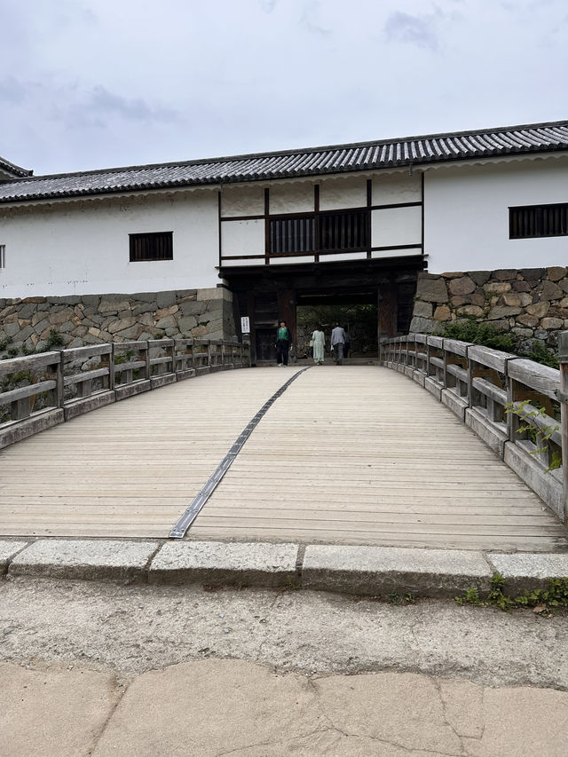 【滋賀観光】