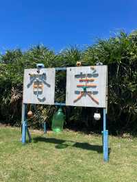 奄美大島　まさに天然のプール🏊あやまる岬観光公園