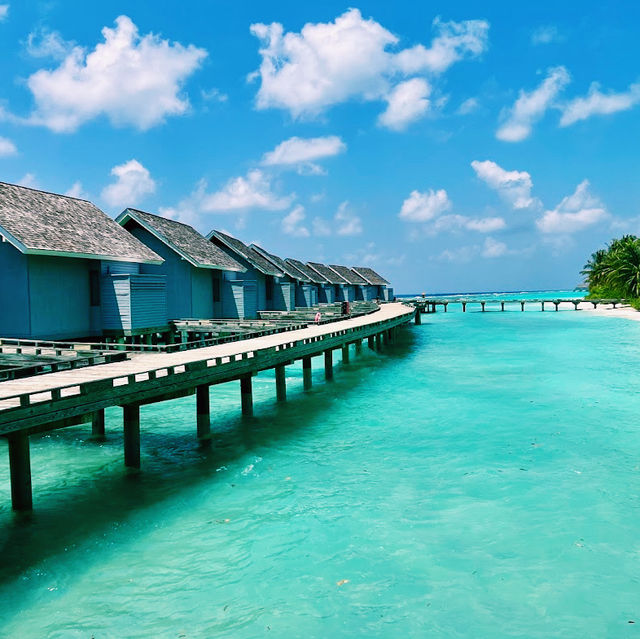The Sand Bank, Kuramathi Island, Maldives