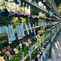 A Serene Experience : South Putuo Temple