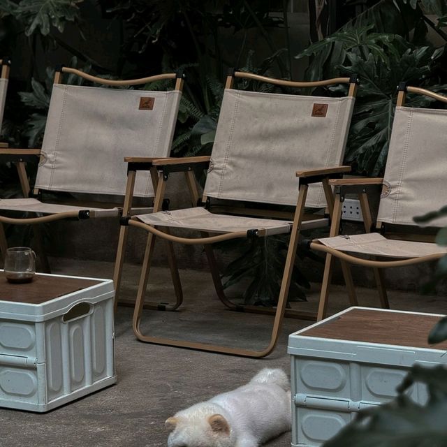 Nhau cafe