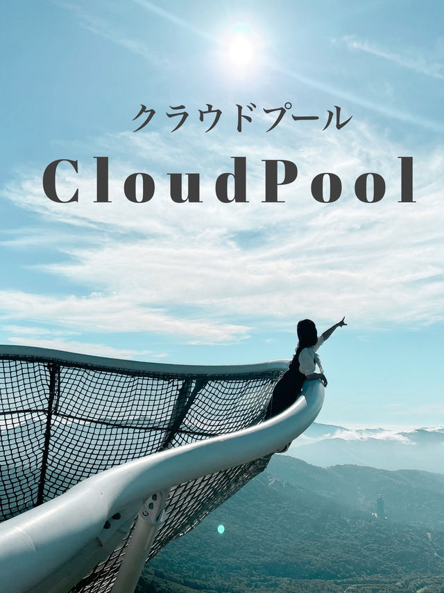 雲海テラスの絶景スポット☁️【北海道】