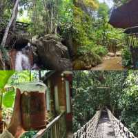 5 คาเฟ่ฮิต แม่กำปอง แม่ลาย
