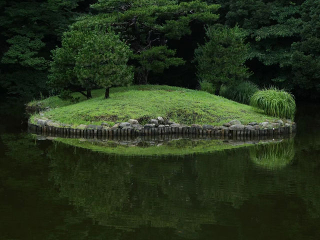 【東京代代木公園】秋天景色美不勝收，享受大自然能量！🔥🏖️