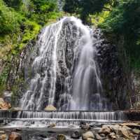 Unveiling Medan's Hidden Gems: A Journey Through Nature's Wonders