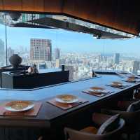 THE OSAKA STATION HOTEL
