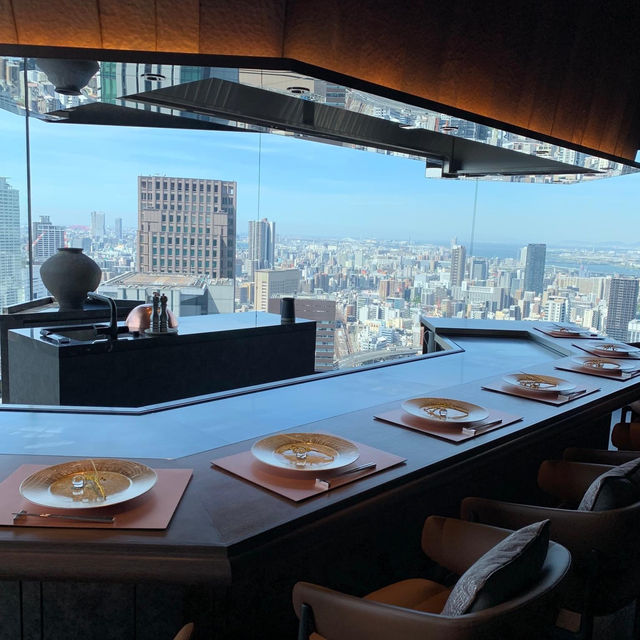 THE OSAKA STATION HOTEL