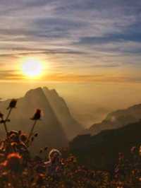 สักครั้งในชีวิตพิชิตยอดดอยหลวงเชียงดาว