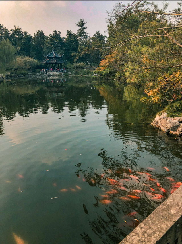 The Beautiful West Lake in Hangzhou 🇨🇳