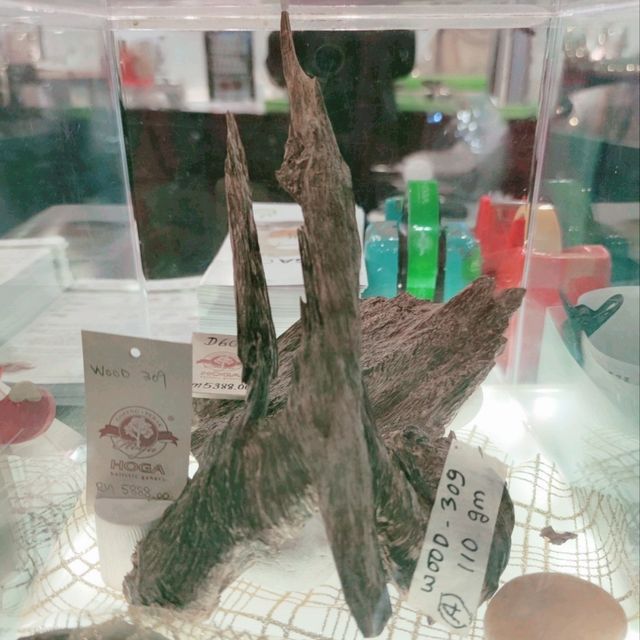 Uncover the Essence of Agarwood at Hoga Gaharu Tea Valley