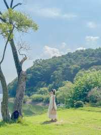 보령에도 스위스가 있었네요🍃💚