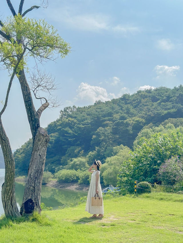 보령에도 스위스가 있었네요🍃💚