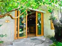 คาเฟ่ในป่าหิมพานต์เชียงใหม่เขียวชะอุ่มสดชื่นมาก