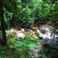 🇲🇾Lata Payung: Where Nature’s Magic Unfolds