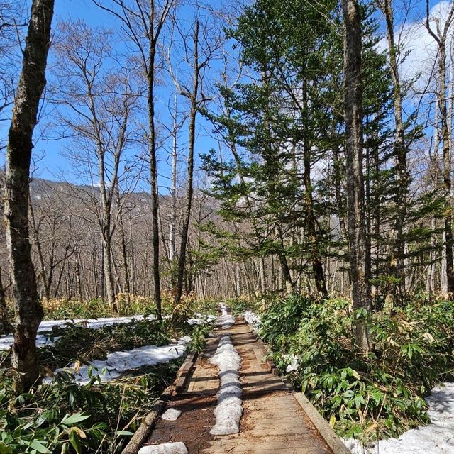 初夏開山的殘雪美景，上高地健行之旅。