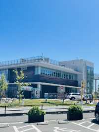 【兵庫県:淡路島】淡路島観光に外せないお花畑！！