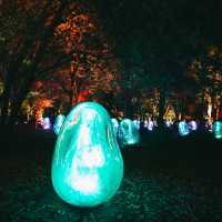 ไปดู Digiata Art สุดเท่ที่ teamLab Osaka กัน