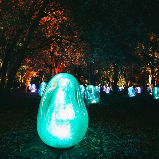 ไปดู Digiata Art สุดเท่ที่ teamLab Osaka กัน