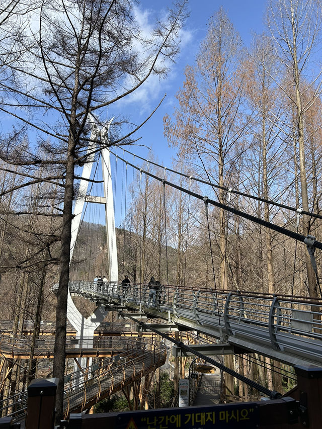 대전 출렁다리 추천🩶🩵