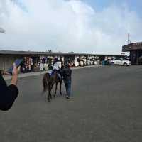 Bandung With View : Tangkuban Perahu : Horse Ride