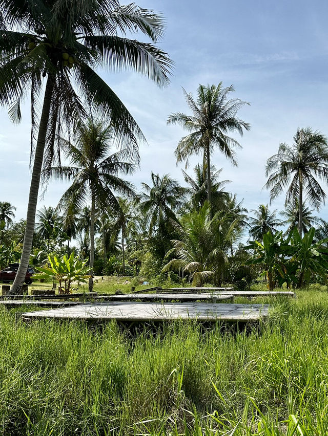 ลานกางเต็นท์⛺️ในสวน 200- ธรรมขาติมากๆ ทุกตรง! 