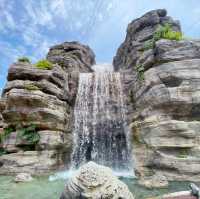 Bird paradise fun for the whole family!