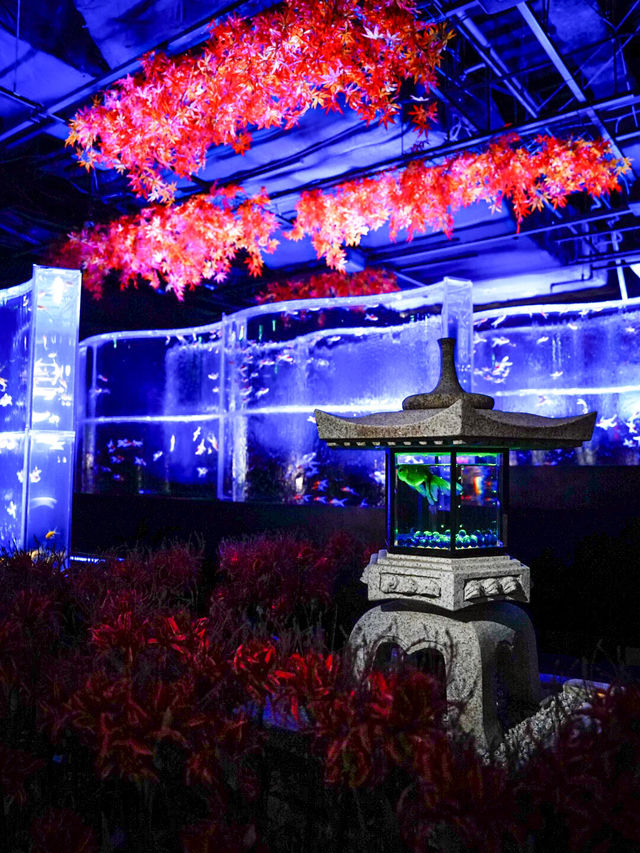 【家族に優しい】秋を感じる屋内スポット✨金魚×秋の世界を体験😍※撮影の楽しみ方付