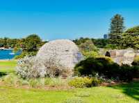 Royal Botanic Garden Sydney