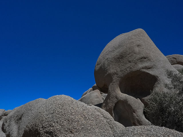 Skull Rock Trail: A Striking Hike in Joshua Tree National Park