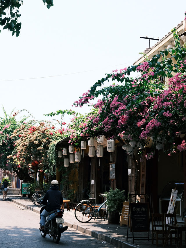 🇻🇳峴港旅行·充滿鮮花和明豔黃牆的會安古城
