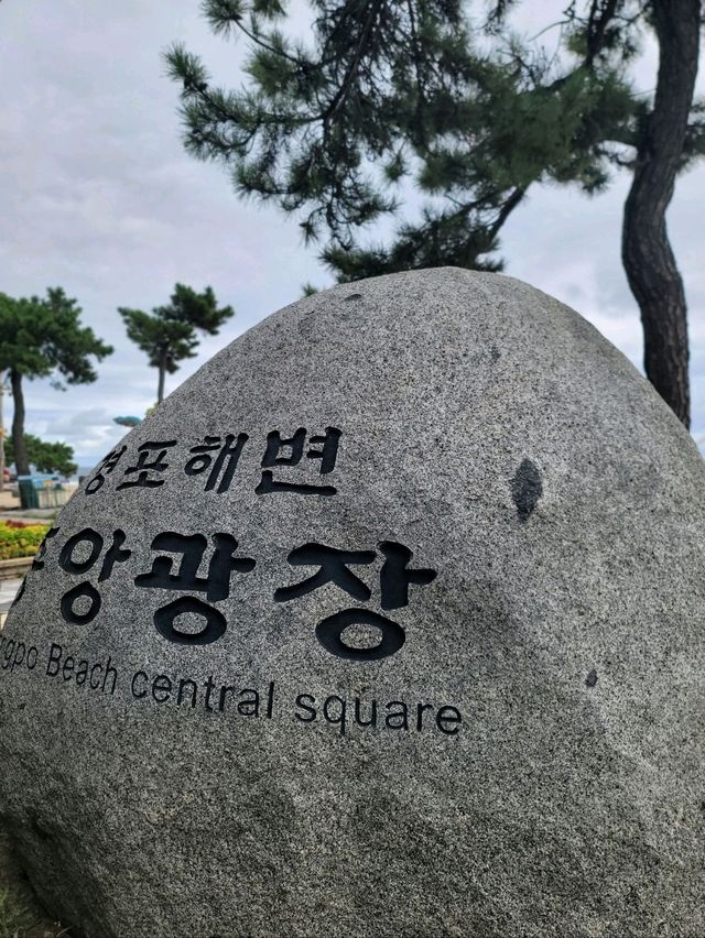 여러번와도 꼭 가야할 강릉여행 필수코스🩵