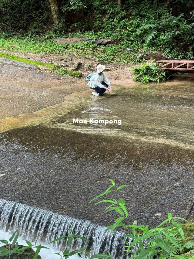 น้ำตกแม่กำปอง | จ.เชียงใหม่ 🪨💦🌿🌳
