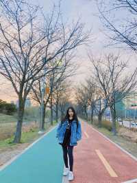 다가오는 가을 산책하기 좋은 곳!