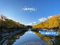 東京景點｜東京近郊知名銀杏賞風景點—國營昭和紀念公園