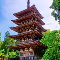 【京都】神社仏閣巡り 世界遺産醍醐寺を巡る