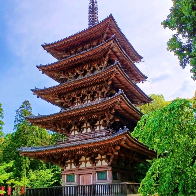 【京都】神社仏閣巡り 世界遺産醍醐寺を巡る