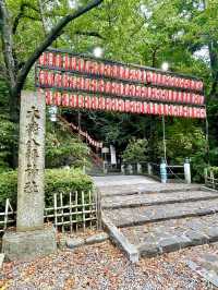 【宮城県】伊達家の氏神で仙台総鎮守
