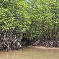 A wander to nature, Mangrove River at Kilim Geoforest Park