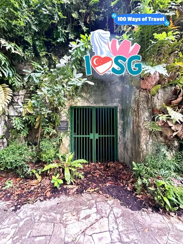 探索拉柏多自然保護區的森林區 